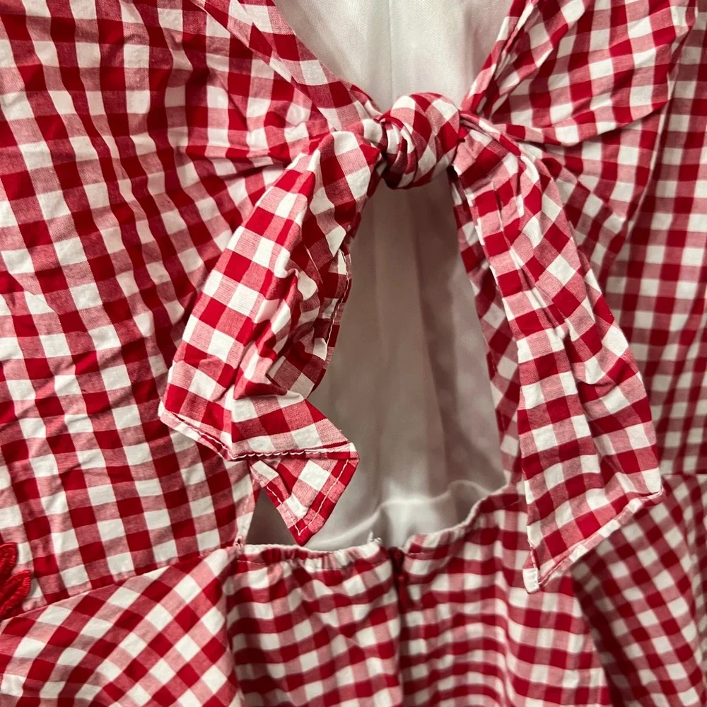 Red Gingham Dress with Lace Accents - Picture 4 of 5